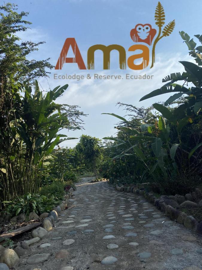 Ama Ecolodge Puerto Misahuallí Exterior foto